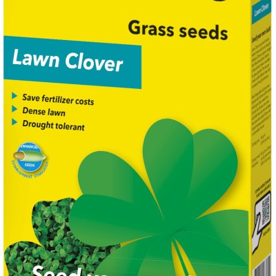 Barenbrug Lawn Clover – Смес за тревна площ с бяла детелина