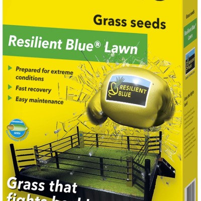 Barenbrug Resilient Blue Lawn – Професионална тревна смес за екстремни условия – 50 m²