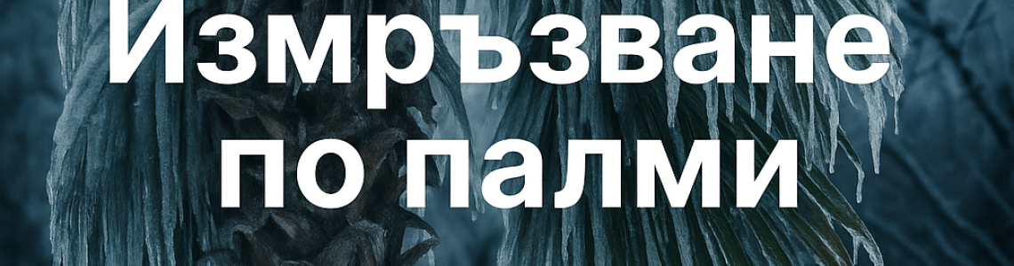 Разпознаване и лечение на измръзване по палмите – практично ръководство от Palmi Tropicana