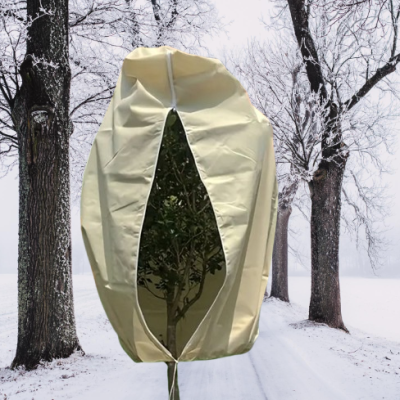 Професионално зимно покривало за палми и екзотични растения – 90 g/m² сигурна защита